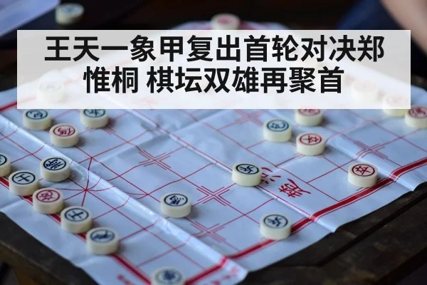 王天一象甲复出首轮对决郑惟桐 棋坛双雄再聚首